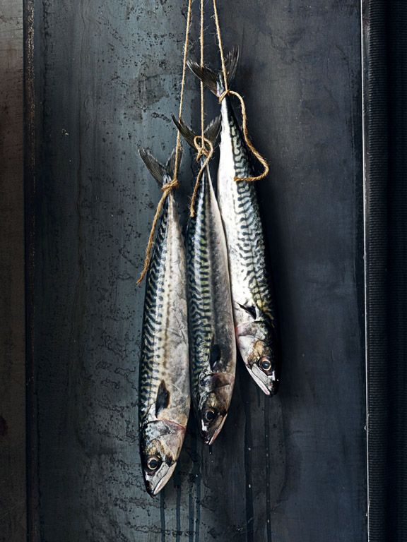 three dead fish hanging from hooks on a metal door with rope attached to the wall