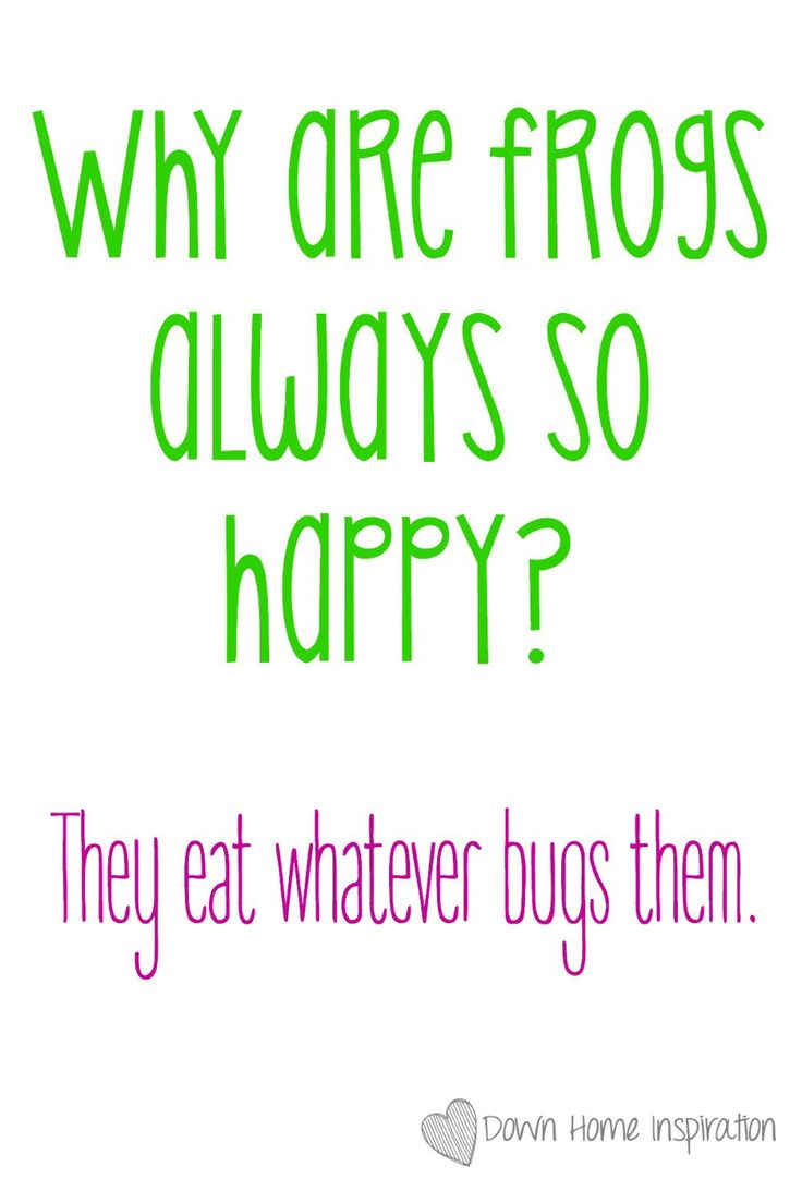 a quote that says, why are frogs always so happy? they eat whatever bugs them