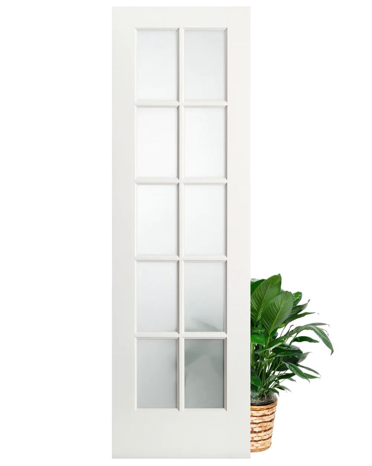 a potted plant sitting next to a white door with glass panels on the side