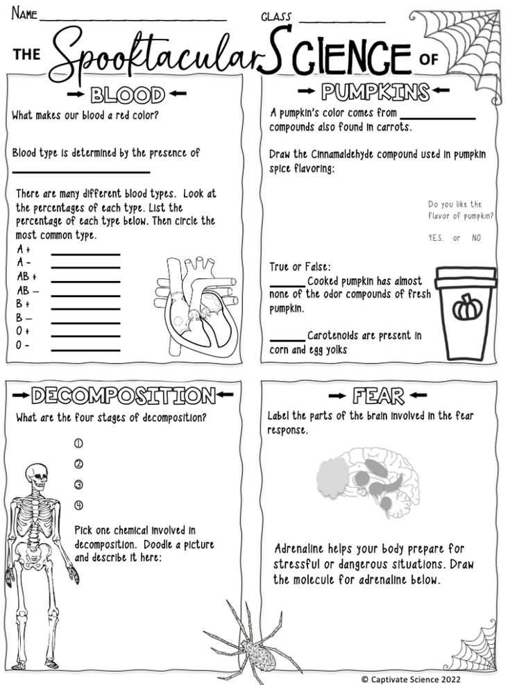 the spooktacular science worksheet