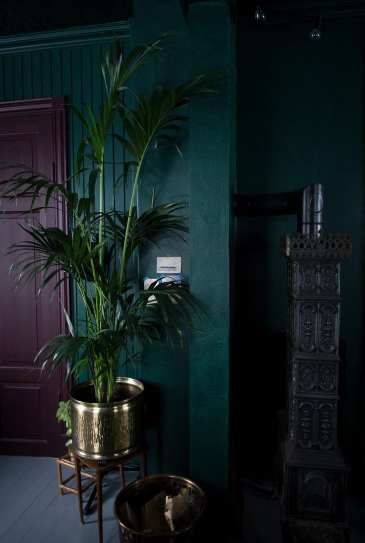 a potted plant sitting on top of a wooden table next to a fire place