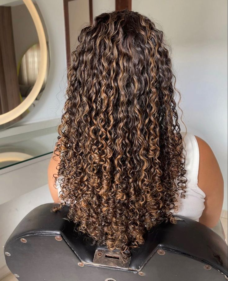 Brown Hair Colors With Highlights Curly, High Light Curly Hair, Brown Hair With Highlights On Curly Hair, Honey Brown Hair Curly Highlights, Carmel Curly Highlights, Highlits Curly Hair, Honey Balayage On Dark Hair Curly, Balayage Highlights Curly Hair, Long Brown Curly Hair With Highlights