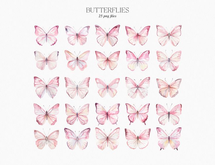 a group of pink butterflies on a white background with the words butterflies written in it