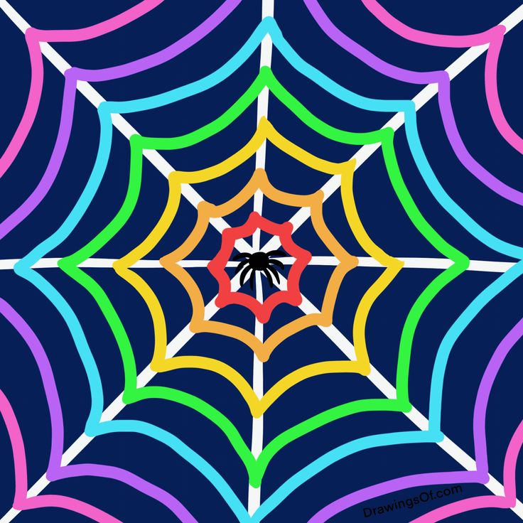 an image of a spider web with many colors