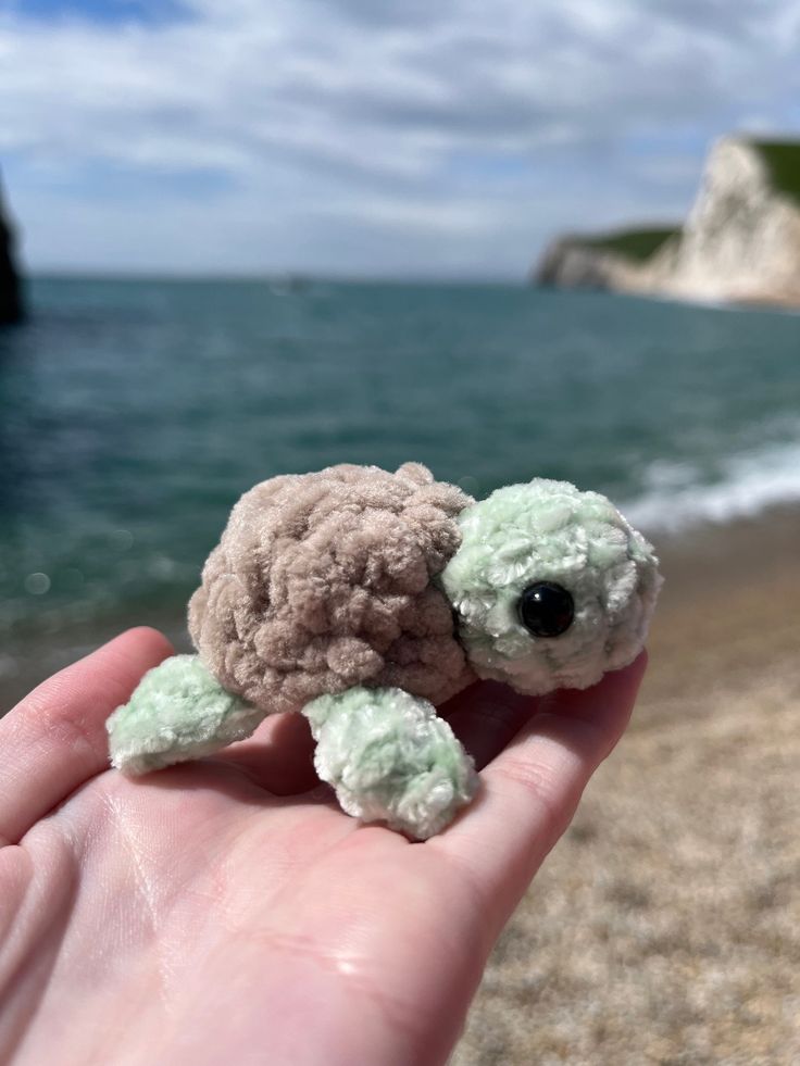 a small stuffed animal is held in someone's hand near the water and beach