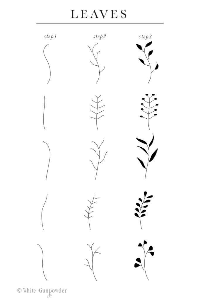 four different types of leaves in black and white, with the words leaves above them