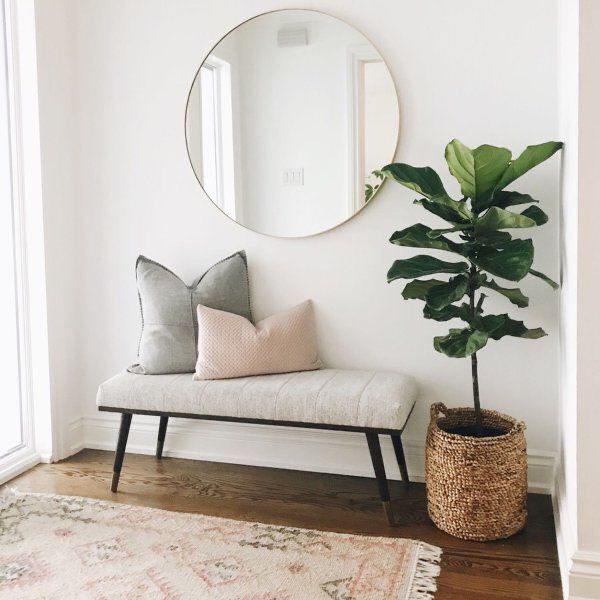 a living room with a plant and mirror on the wall