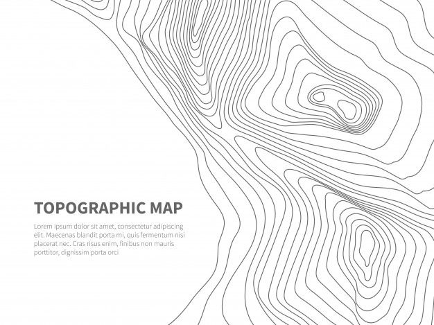 an abstract map with lines in the form of waves and curves on a white background