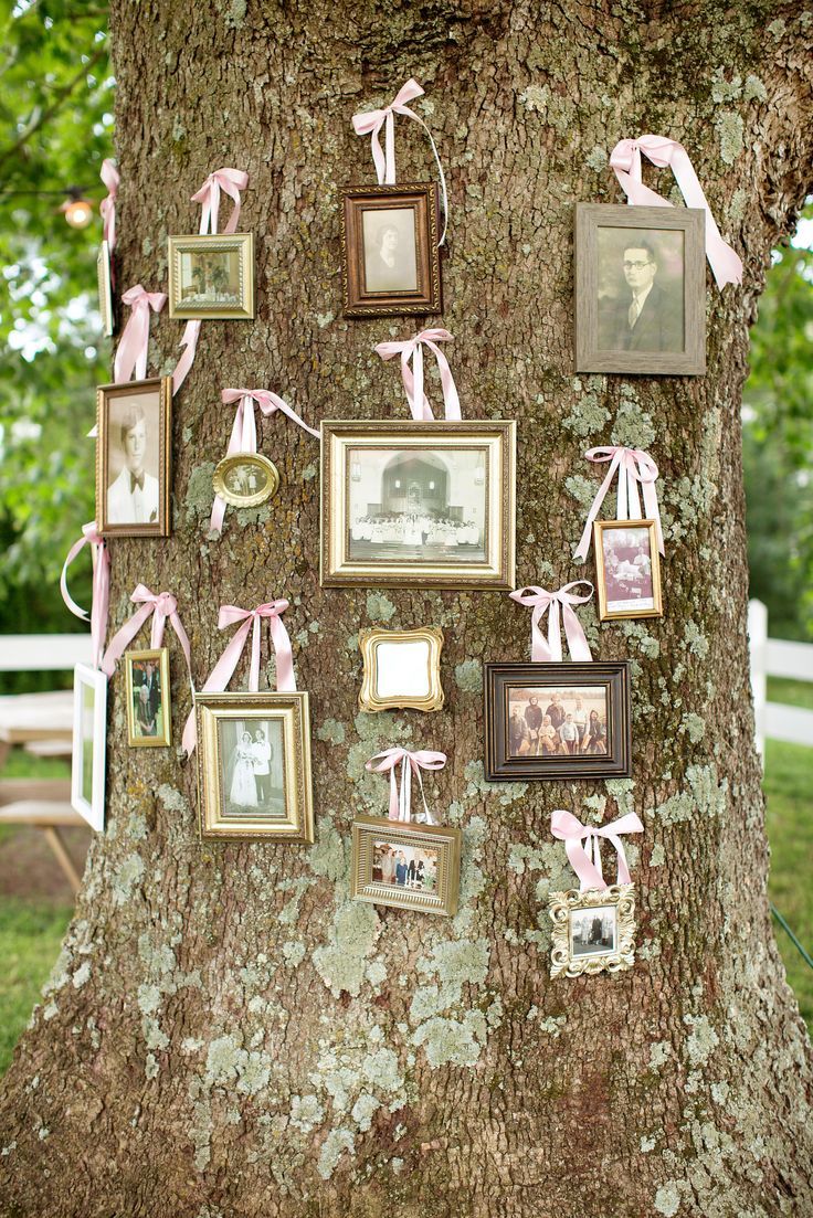 the family tree is adorned with pictures and ribbons, which are tied to it's bark