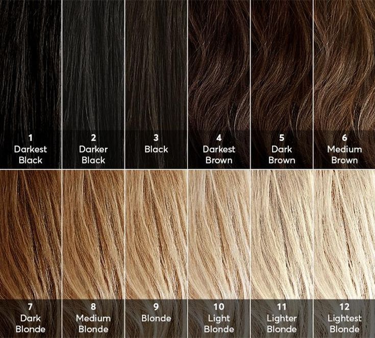 Help! What level is my hair? How to find your hair color level for best results when coloring your own hair at home. The level system of hair color is a universal system used by colorists, cosmetologists and hair color manufacturers to standardize hair color charts. #haircolor #hairtips #hairhacks #hair #chart Levels Of Hair Color, Level 6 Hair Color, Blonde Hair Color Chart, Brown Hair Color Chart, Hair Chart, Hair Levels, Honey Blonde Hair Color, Lighter Hair, Hair Color Formulas