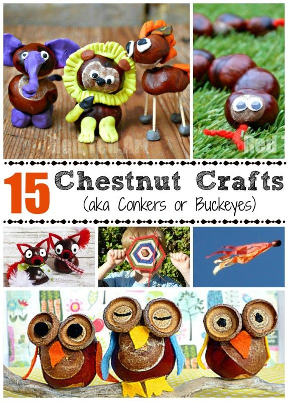 the cover of 15 chestnutnut crafts for kids with pictures of owls and other animals