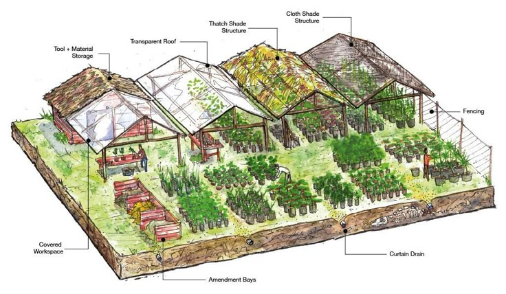 an illustrated diagram of a garden with many different types of trees and plants in it