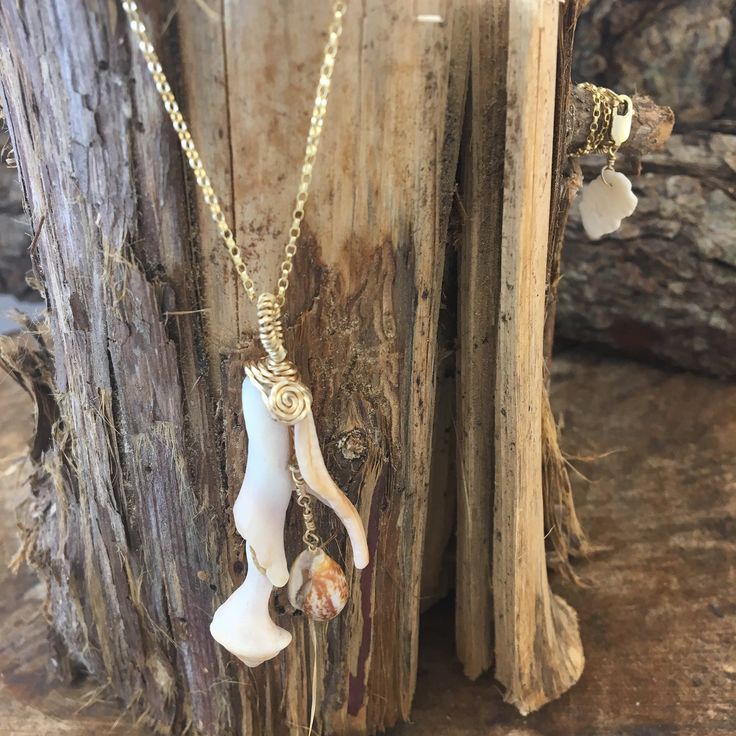 Lover Jewelry, Seashell Necklace, Beach Lover, Shell Jewelry, Beach Accessories, Jewelry Cleaner, Gold Filled Chain, Pendant Necklaces, Tassel Necklace