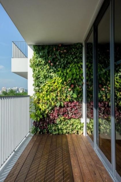 an outdoor deck with wooden flooring next to a white building and green plants on the wall