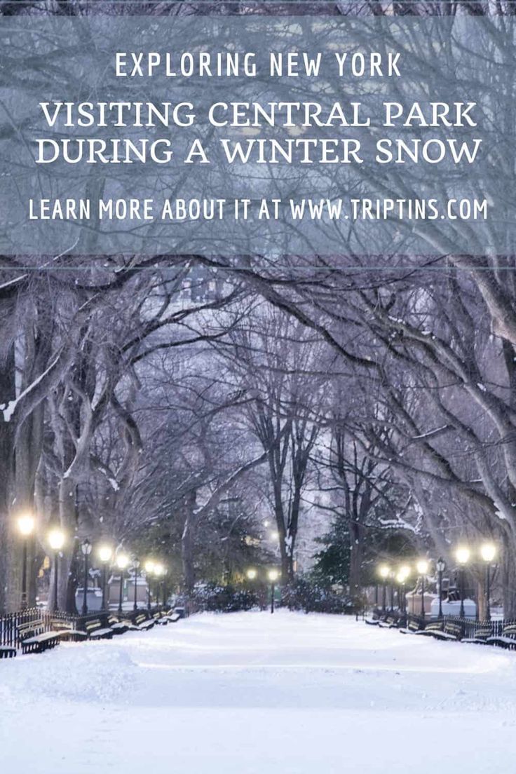 an image of a snowy park with trees and lights in the background text reads exploring new york visiting central park during a winter snow learn more about at