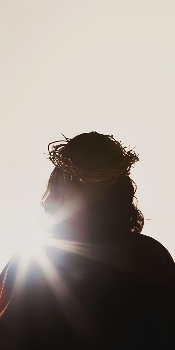 the back of a person's head with sun shining through it and behind them