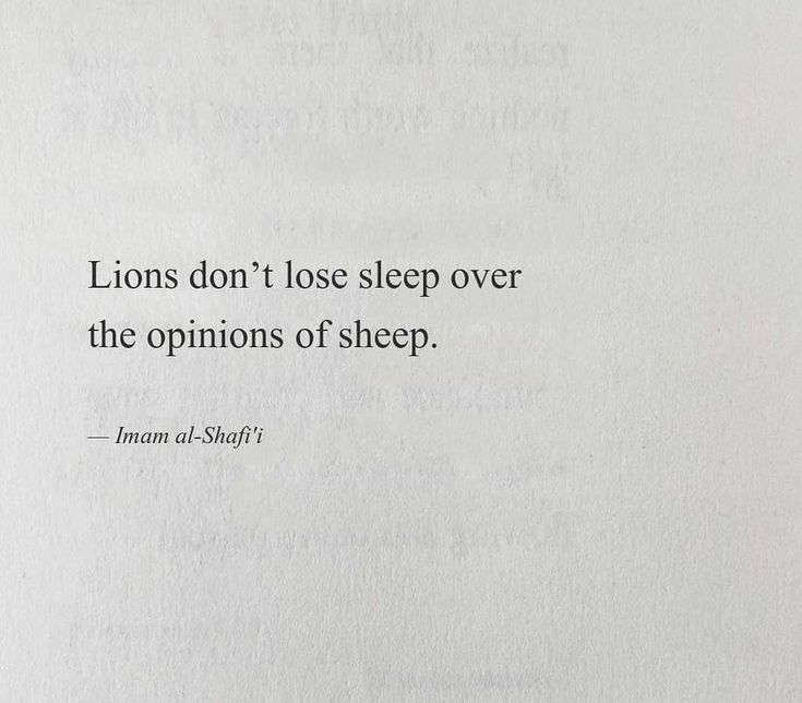 Lions Dont Lose Sleep, Sleep Over, A Lion, Tattoo Quotes, Sheep, Lion, Sleep, Lost, Quotes