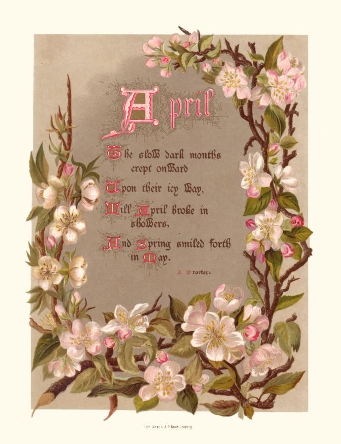 an image of a floral frame with the words apri on it and flowers around it