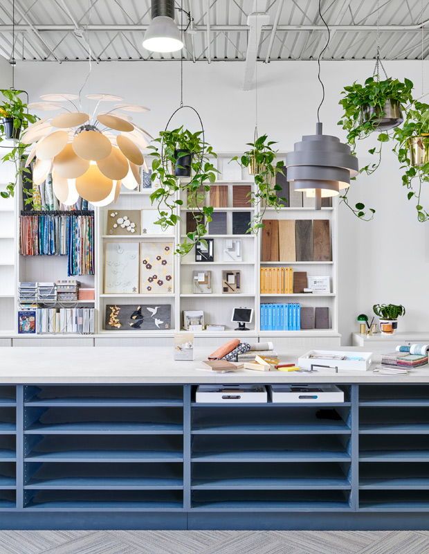 a kitchen with blue cabinets and plants hanging from the ceiling, along with bookshelves