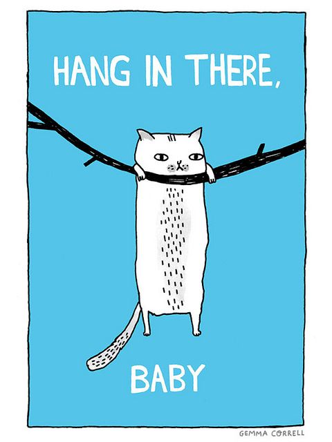 a cat hanging in there on a tree branch with the caption baby, i'm not going to hang in there