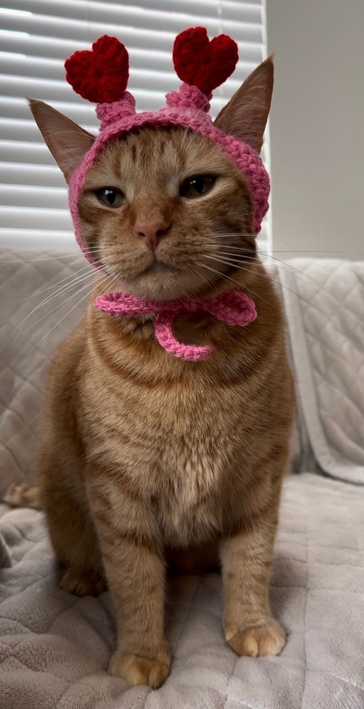 a cat wearing a pink knitted hat with hearts on it's ears, sitting on a couch