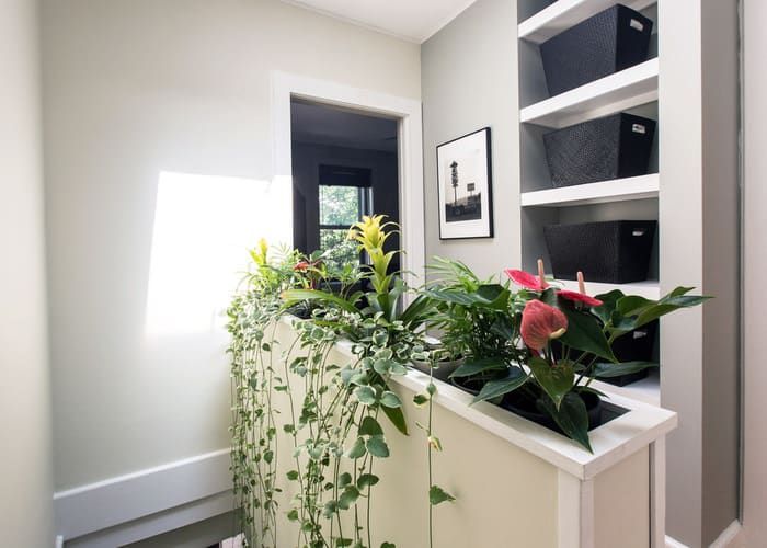 some plants that are on top of a counter in a room with white walls and flooring