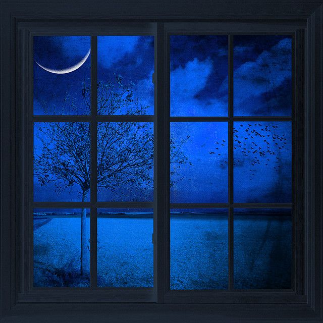 an open window looking out at a tree and the moon in the night sky with birds flying by