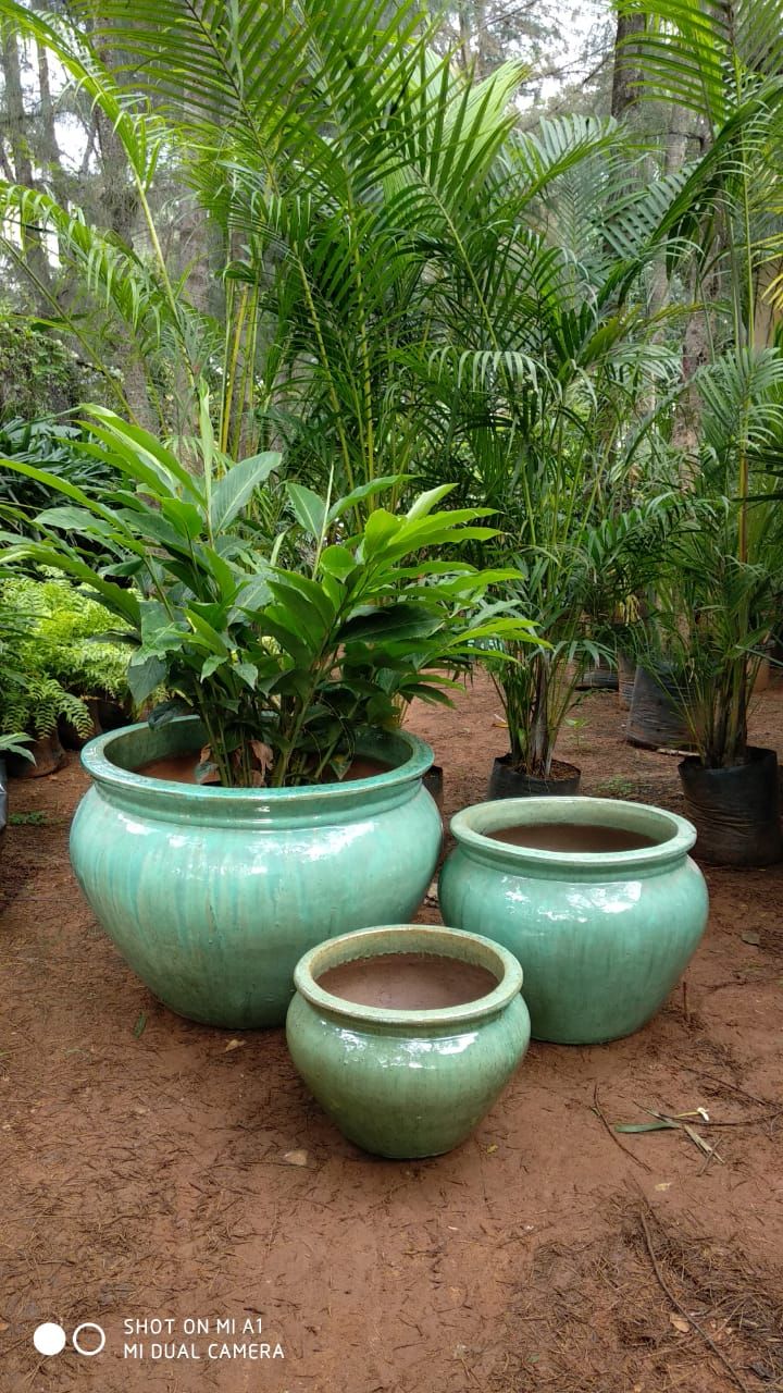 three large green planters sitting on top of a dirt ground next to trees and plants