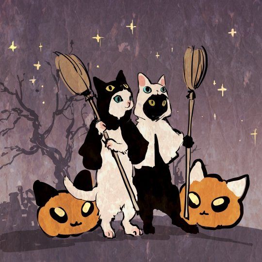 two cats are standing next to each other with brooms