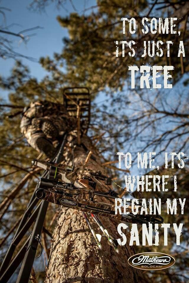 an image of a tree stand in the woods