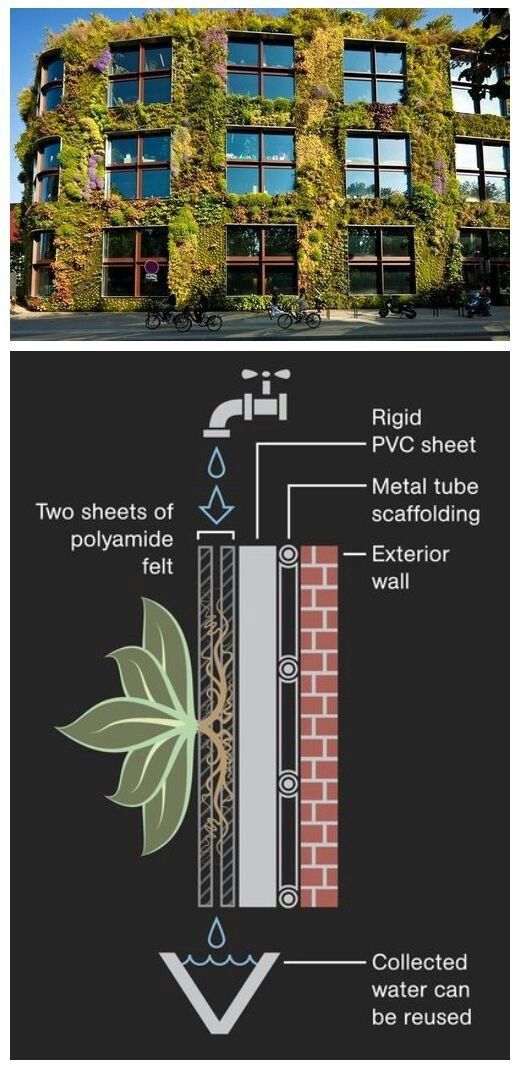 an image of a building with plants growing on the side and below it's windows