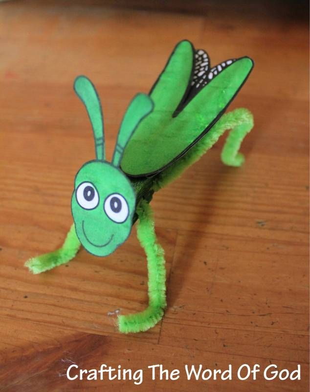 an image of a green bug on a wooden table with the caption crafting the word of god