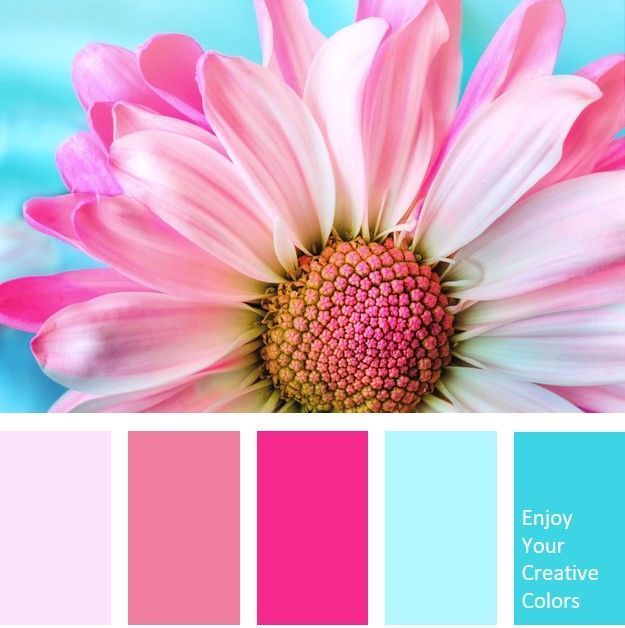 a pink and blue color scheme with the words enjoy your creative colors