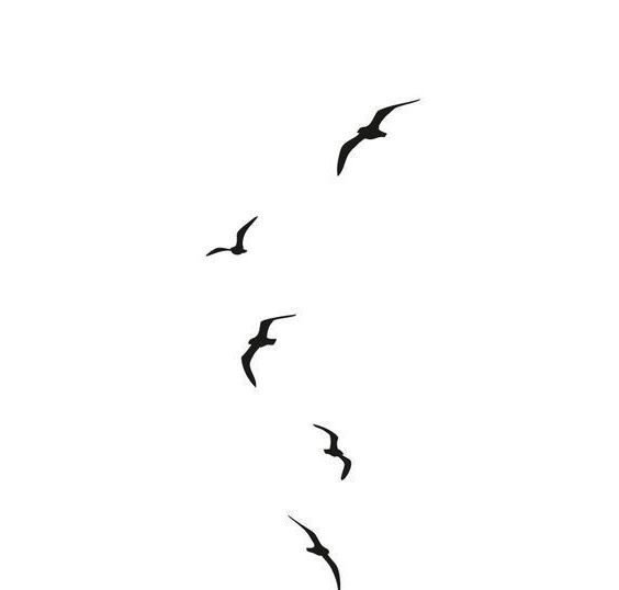 a flock of birds flying across a white sky