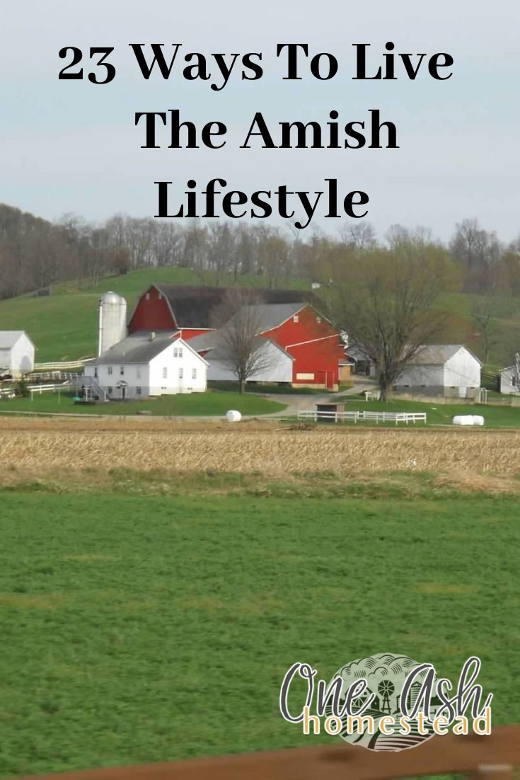 Amish Hacks, Interesting Cultures, Amish Lifestyle, Amish House, Amish Culture, Amish Life, Amish Farm, Today's Society, Enjoying Nature