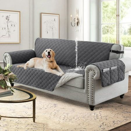 a dog laying on top of a couch in a living room