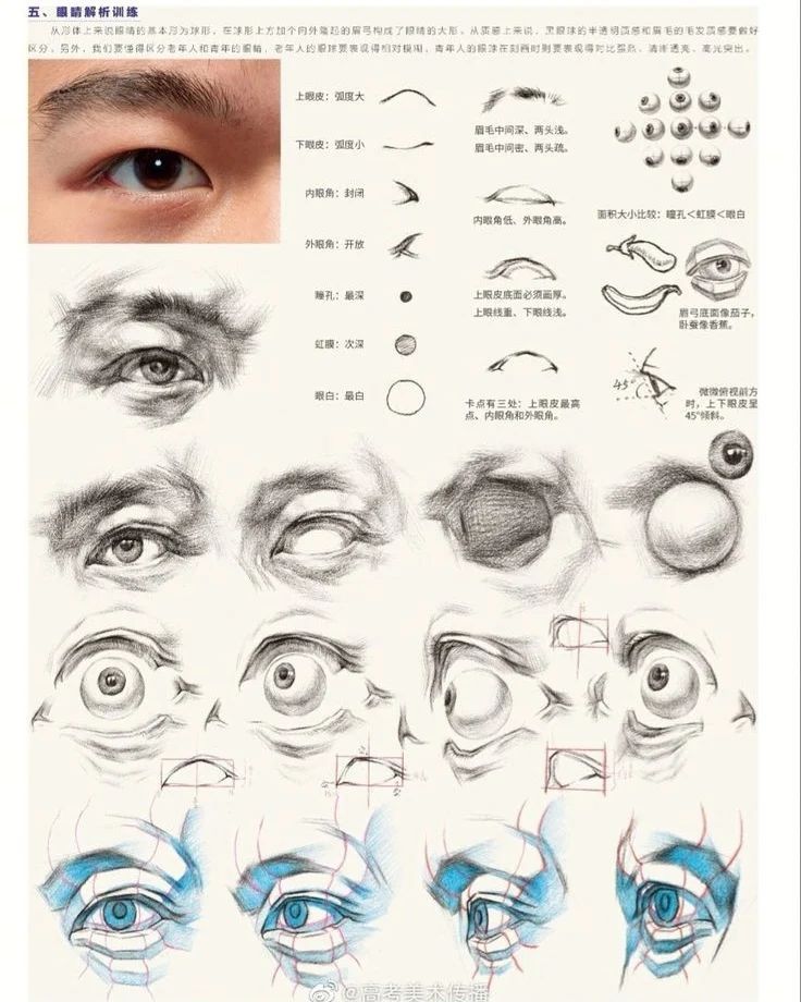 an image of various types of eyes and how to draw them with pencils on paper