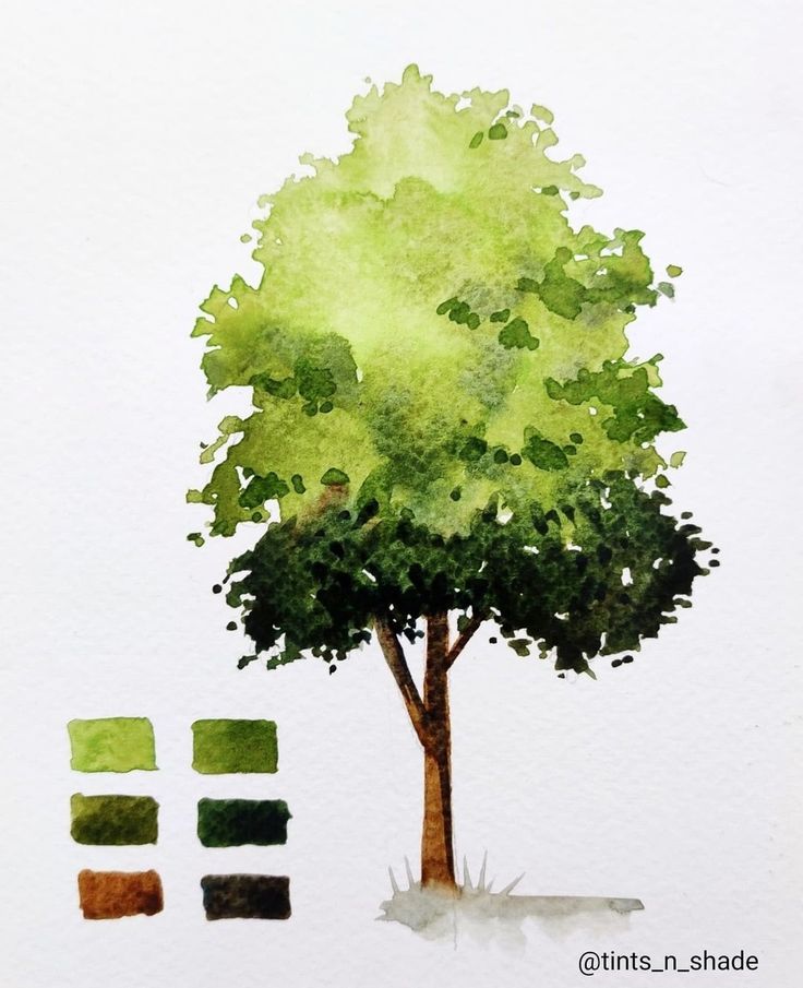 Watercolor Tree Painting Tutorial for Beginners Watercolor Trees Painting, Drawing Trees Watercolor, Paint Tree Tutorial, Tree Drawing With Watercolor, Simple Tree Watercolor, Watercolor Tree Step By Step, Landscape Design Watercolor, How To Paint A Tree With Watercolor, Watercolor Tree Study