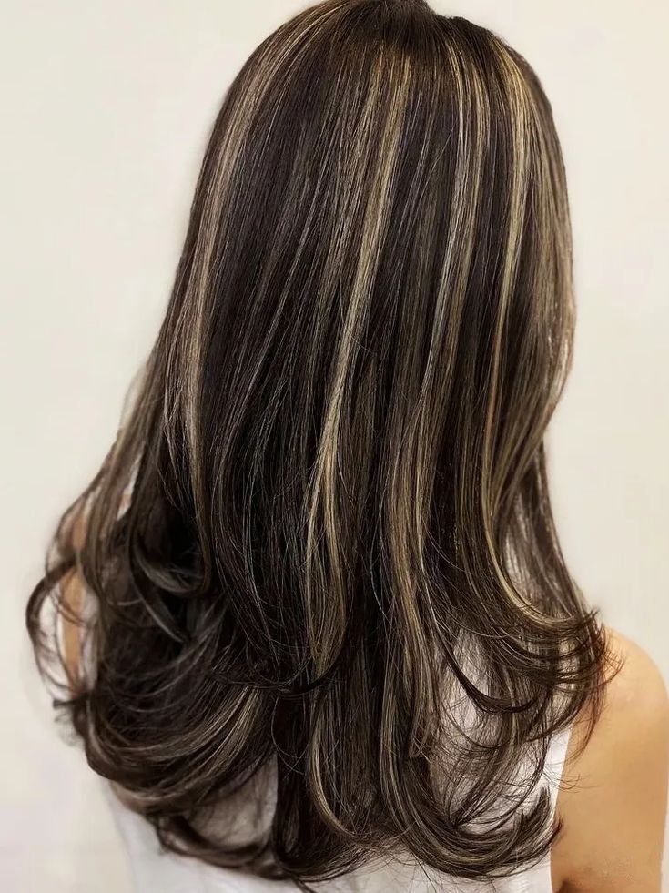 Black Hair With Highlights: 20+ Trendiest Looks and Ideas Hair With Highlights, Brown Hair Inspo, Hair Color Streaks, Brunette Hair With Highlights, Black Hair With Highlights, Hair Streaks, Dark Hair With Highlights, Dyed Hair Inspiration, Hairstyles For Layered Hair