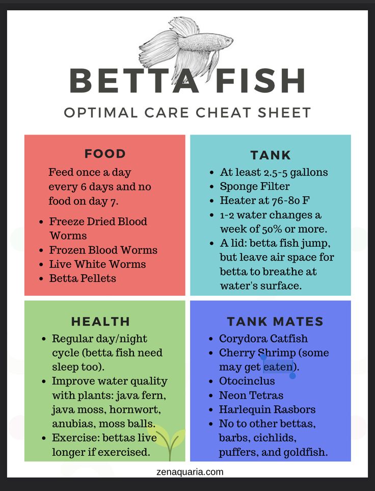 the different types of fish that can be found in this info sheet, which includes information on how to eat them