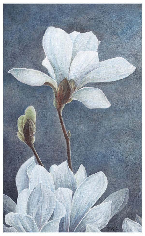 a painting of two white flowers on a blue and gray background, with one flower in the foreground