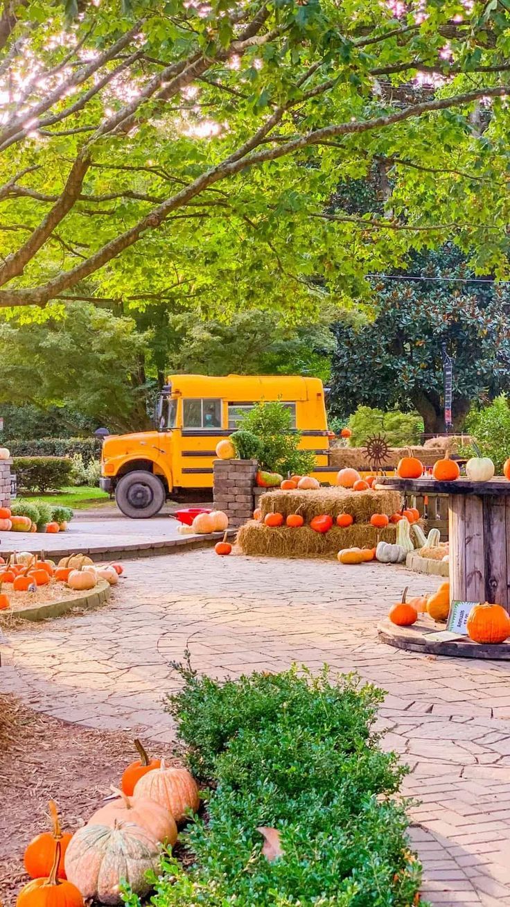 pumpkins and gourds are on display in an outdoor area with a yellow truck