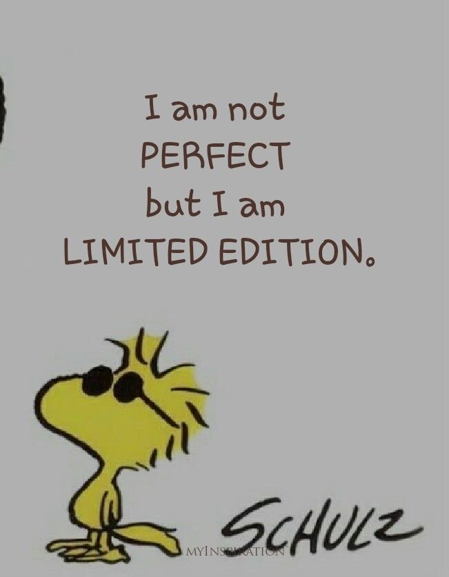 an image of a cartoon dog saying i am not perfect but i am limited edition