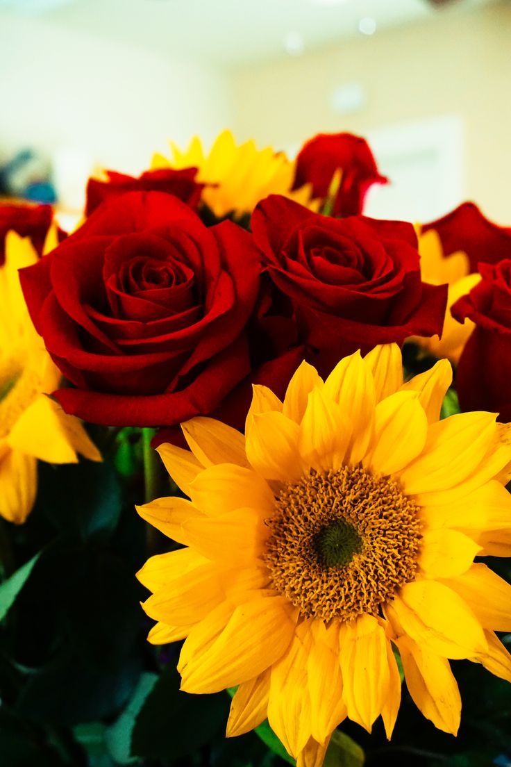 red roses and yellow sunflowers in a vase