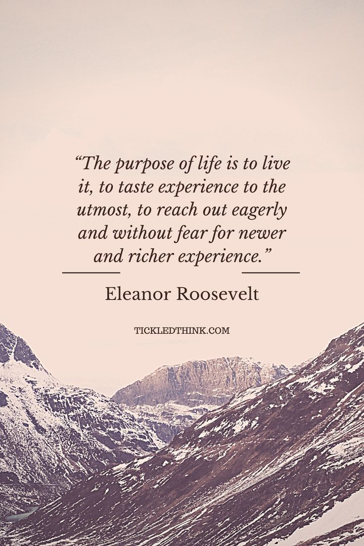 the purpose of life is to live it, to taste experience to the utmost, to reach out eagerly and without fear for never and other experience