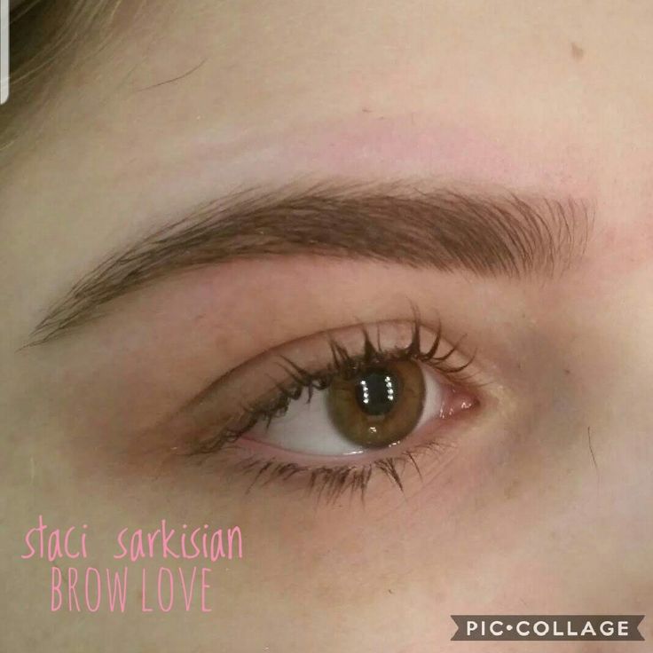 Eye Brow Inspo Natural, Soft Curved Eyebrows, Vintage Eyebrow Shape, Brow Ideas Eyebrow Shapes, Straight Eyebrows Natural, Thick Shaped Eyebrows, Thick Brown Eyebrows, Soft Brown Eyebrows, Eyebrow Shape Inspiration