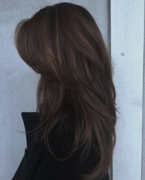 Wolfcut Hair, Brown Hair Inspo, Hairstyles For Layered Hair, Hair Stylies, Haircuts For Medium Hair, Haircuts Straight Hair, Hair Stylist Life, Haircuts For Long Hair, Hair Inspo Color