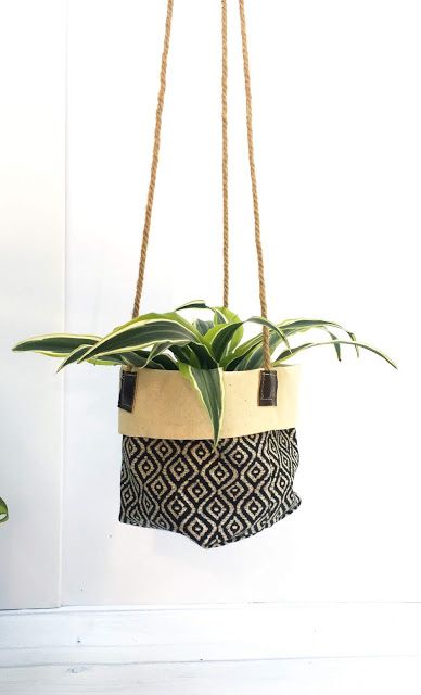 a potted plant hanging from a rope