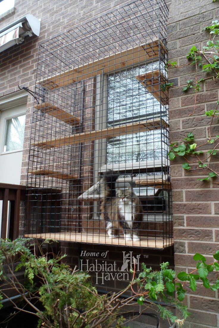 a cat in a cage on the outside of a brick building next to a window