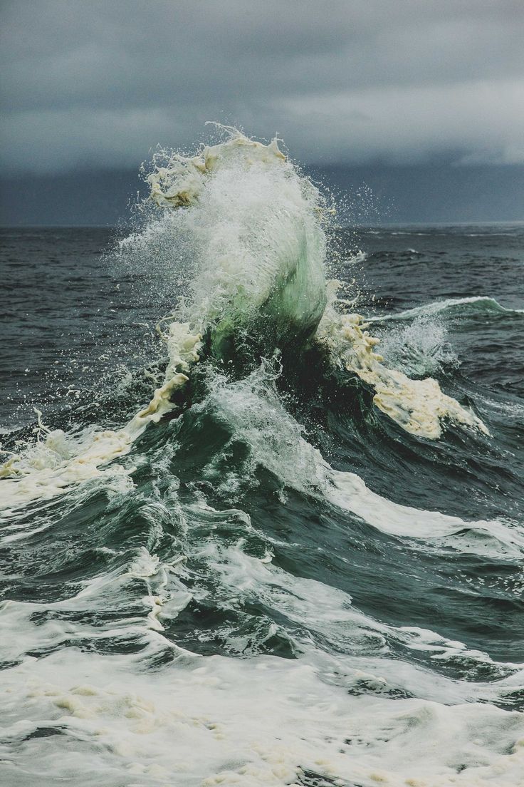 an ocean wave hitting the top of it's head in front of dark clouds